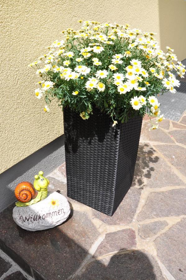 Apartament Haus Leo Westendorf Zewnętrze zdjęcie